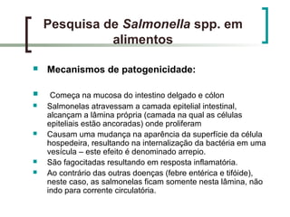 Pesquisa de Salmonella spp. em
alimentos
 Mecanismos de patogenicidade:
 Começa na mucosa do intestino delgado e cólon
 Salmonelas atravessam a camada epitelial intestinal,
alcançam a lâmina própria (camada na qual as células
epiteliais estão ancoradas) onde proliferam
 Causam uma mudança na aparência da superfície da célula
hospedeira, resultando na internalização da bactéria em uma
vesícula – este efeito é denominado arrepio.
 São fagocitadas resultando em resposta inflamatória.
 Ao contrário das outras doenças (febre entérica e tifóide),
neste caso, as salmonelas ficam somente nesta lâmina, não
indo para corrente circulatória.
 
