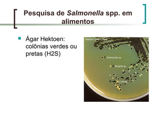 Pesquisa de Salmonella spp. em
alimentos
 Ágar Hektoen:
colônias verdes ou
pretas (H2S)
 