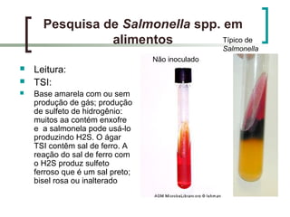 Pesquisa de Salmonella spp. em
alimentos
 Leitura:
 TSI:
 Base amarela com ou sem
produção de gás; produção
de sulfeto de hidrogênio:
muitos aa contém enxofre
e a salmonela pode usá-lo
produzindo H2S. O ágar
TSI contêm sal de ferro. A
reação do sal de ferro com
o H2S produz sulfeto
ferroso que é um sal preto;
bisel rosa ou inalterado
Não inoculado
Típico de
Salmonella
 