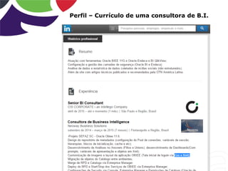 Perfil – Currículo de uma consultora de B.I.
 