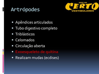 Artrópodes

 Apêndices articulados
 Tubo digestivo completo
 Triblásticos
 Celomados
 Circulação aberta
 Exoesqueleto de quitina
 Realizam mudas (ecdises)
 