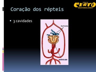 Coração dos répteis

 3 cavidades
 
