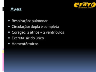 Aves

 Respiração: pulmonar
 Circulação: dupla e completa
 Coração: 2 átrios + 2 ventrículos
 Excreta: ácido úrico
 Homeotérmicos
 