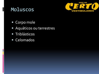 Moluscos

 Corpo mole
 Aquáticos ou terrestres
 Triblásticos
 Celomados
 