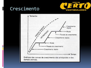 Crescimento
 