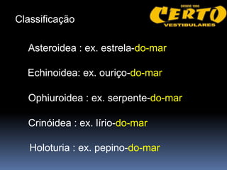 Classificação

  Asteroidea : ex. estrela-do-mar

  Echinoidea: ex. ouriço-do-mar

  Ophiuroidea : ex. serpente-do-mar

  Crinóidea : ex. lírio-do-mar

   Holoturia : ex. pepino-do-mar
 