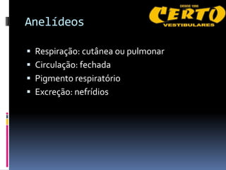 Anelídeos

 Respiração: cutânea ou pulmonar
 Circulação: fechada
 Pigmento respiratório
 Excreção: nefrídios
 