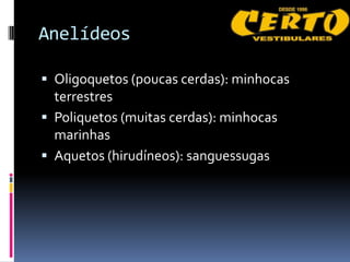 Anelídeos

 Oligoquetos (poucas cerdas): minhocas
  terrestres
 Poliquetos (muitas cerdas): minhocas
  marinhas
 Aquetos (hirudíneos): sanguessugas
 