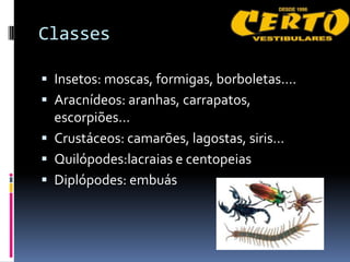Classes

 Insetos: moscas, formigas, borboletas....
 Aracnídeos: aranhas, carrapatos,
  escorpiões...
 Crustáceos: camarões, lagostas, siris...
 Quilópodes:lacraias e centopeias
 Diplópodes: embuás
 