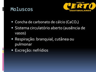 Moluscos

 Concha de carbonato de cálcio (CaCO3)
 Sistema circulatório aberto (ausência de
  vasos)
 Respiração: branquial, cutânea ou
  pulmonar
 Excreção: nefrídios
 