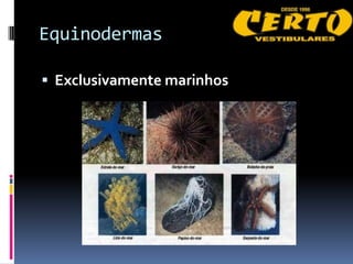 Equinodermas

 Exclusivamente marinhos
 