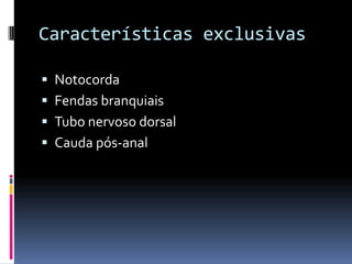 Características exclusivas

 Notocorda
 Fendas branquiais
 Tubo nervoso dorsal
 Cauda pós-anal
 