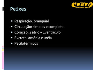 Peixes

 Respiração: branquial
 Circulação: simples e completa
 Coração: 1 átrio + 1ventrículo
 Excreta: amônia e uréia
 Pecilotérmicos
 