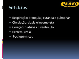 Anfíbios

 Respiração: branquial, cutânea e pulmonar
 Circulação: dupla e incompleta
 Coração: 2 átrios + 1 ventrículo
 Excreta: ureia
 Pecilotérmicos
 