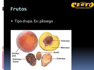 Frutos

 Tipo drupa. Ex: pêssego
 