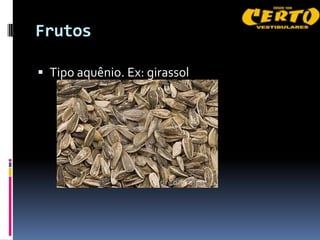 Frutos

 Tipo aquênio. Ex: girassol
 