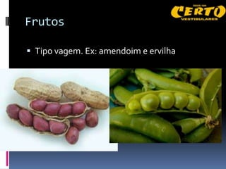 Frutos

 Tipo vagem. Ex: amendoim e ervilha
 