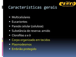 Características gerais

 Multicelulares
 Eucariontes
 Parede celular (celulose)
 Substância de reserva: amido
 Clorofilas a e b
 Corpo organizado em tecidos
 Plasmodesmos
 Embrião protegido
 
