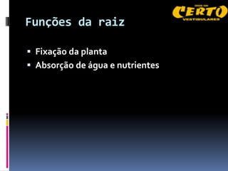 Funções da raiz

 Fixação da planta
 Absorção de água e nutrientes
 