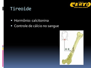 Tireoide

 Hormônio: calcitonina
 Controle de cálcio no sangue
 