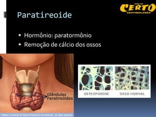 Paratireoide

 Hormônio: paratormônio
 Remoção de cálcio dos ossos
 