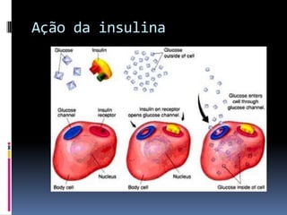 Ação da insulina
 
