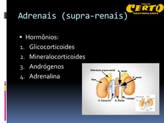 Adrenais (supra-renais)

 Hormônios:
1. Glicocorticoides
2. Mineralocorticoides
3. Andrógenos
4. Adrenalina
 