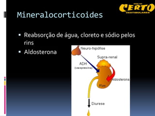 Mineralocorticoides

 Reabsorção de água, cloreto e sódio pelos
  rins
 Aldosterona
 