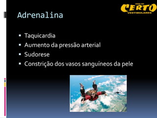 Adrenalina

 Taquicardia
 Aumento da pressão arterial
 Sudorese
 Constrição dos vasos sanguíneos da pele
 
