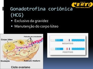 Gonadotrofina coriônica
(HCG)
 Exclusivo da gravidez
 Manutenção do corpo lúteo
 