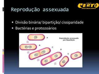 Reprodução assexuada

 Divisão binária/ bipartição/ cissiparidade
 Bactérias e protozoários
 