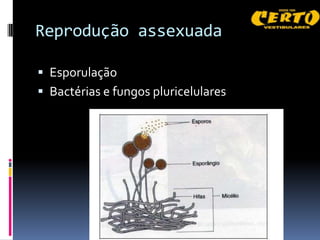 Reprodução assexuada

 Esporulação
 Bactérias e fungos pluricelulares
 