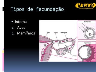 Tipos de fecundação

 Interna
1. Aves
2. Mamíferos
 