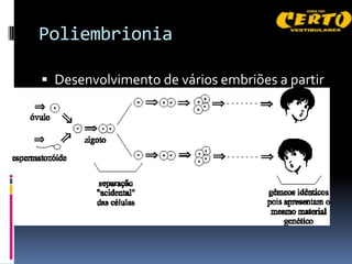 Poliembrionia

 Desenvolvimento de vários embriões a partir
  de um único ovo
 