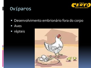Ovíparos

 Desenvolvimento embrionário fora do corpo
 Aves
 répteis
 
