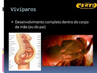 Vivíparos

 Desenvolvimento completo dentro do corpo
 da mãe (ou do pai)
 
