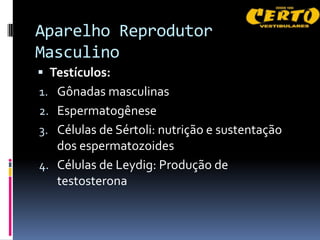 Aparelho Reprodutor
Masculino
 Testículos:
1. Gônadas masculinas
2. Espermatogênese
3. Células de Sértoli: nutrição e sustentação
   dos espermatozoides
4. Células de Leydig: Produção de
   testosterona
 