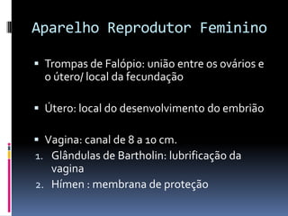 Aparelho Reprodutor Feminino

 Trompas de Falópio: união entre os ovários e
  o útero/ local da fecundação

 Útero: local do desenvolvimento do embrião

 Vagina: canal de 8 a 10 cm.
1. Glândulas de Bartholin: lubrificação da
   vagina
2. Hímen : membrana de proteção
 