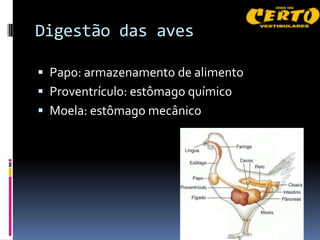 Digestão das aves

 Papo: armazenamento de alimento
 Proventrículo: estômago químico
 Moela: estômago mecânico
 