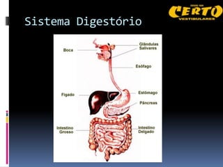 Sistema Digestório
 