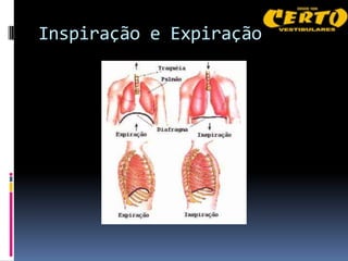 Inspiração e Expiração
 