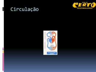 Circulação
 