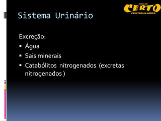 Sistema Urinário

Excreção:
 Água
 Sais minerais
 Catabólitos nitrogenados (excretas
  nitrogenados )
 