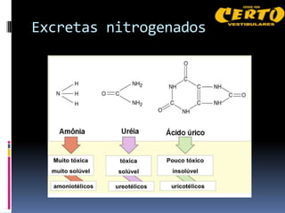 Excretas nitrogenados
 