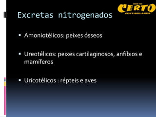 Excretas nitrogenados

 Amoniotélicos: peixes ósseos


 Ureotélicos: peixes cartilaginosos, anfíbios e
  mamíferos

 Uricotélicos : répteis e aves
 