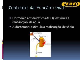 Controle da função renal

 Hormônio antidiurético (ADH): estimula a
  reabsorção de água
 Aldosterona: estimula a reabsorção de sódio
 