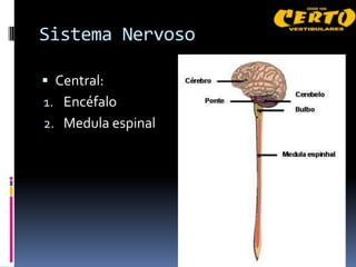 Sistema Nervoso

 Central:
1. Encéfalo
2. Medula espinal
 
