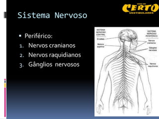 Sistema Nervoso

 Periférico:
1. Nervos cranianos
2. Nervos raquidianos
3. Gânglios nervosos
 