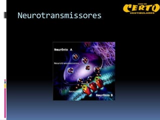 Neurotransmissores
 