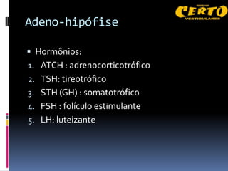 Adeno-hipófise

 Hormônios:
1. ATCH : adrenocorticotrófico
2. TSH: tireotrófico
3. STH (GH) : somatotrófico
4. FSH : folículo estimulante
5. LH: luteizante
 